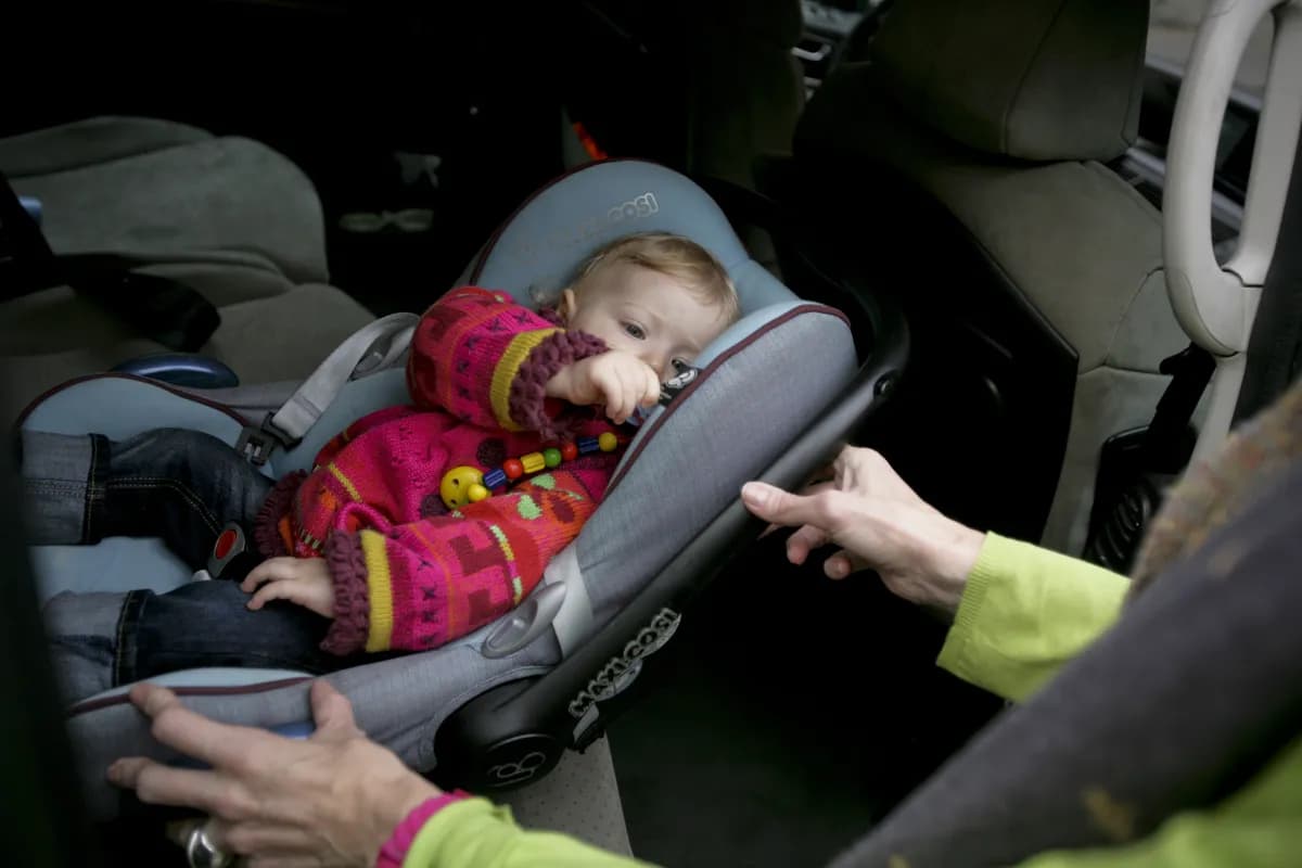 Swedish Climate Minister Romina Pourmokhtari announces birth of son Adam