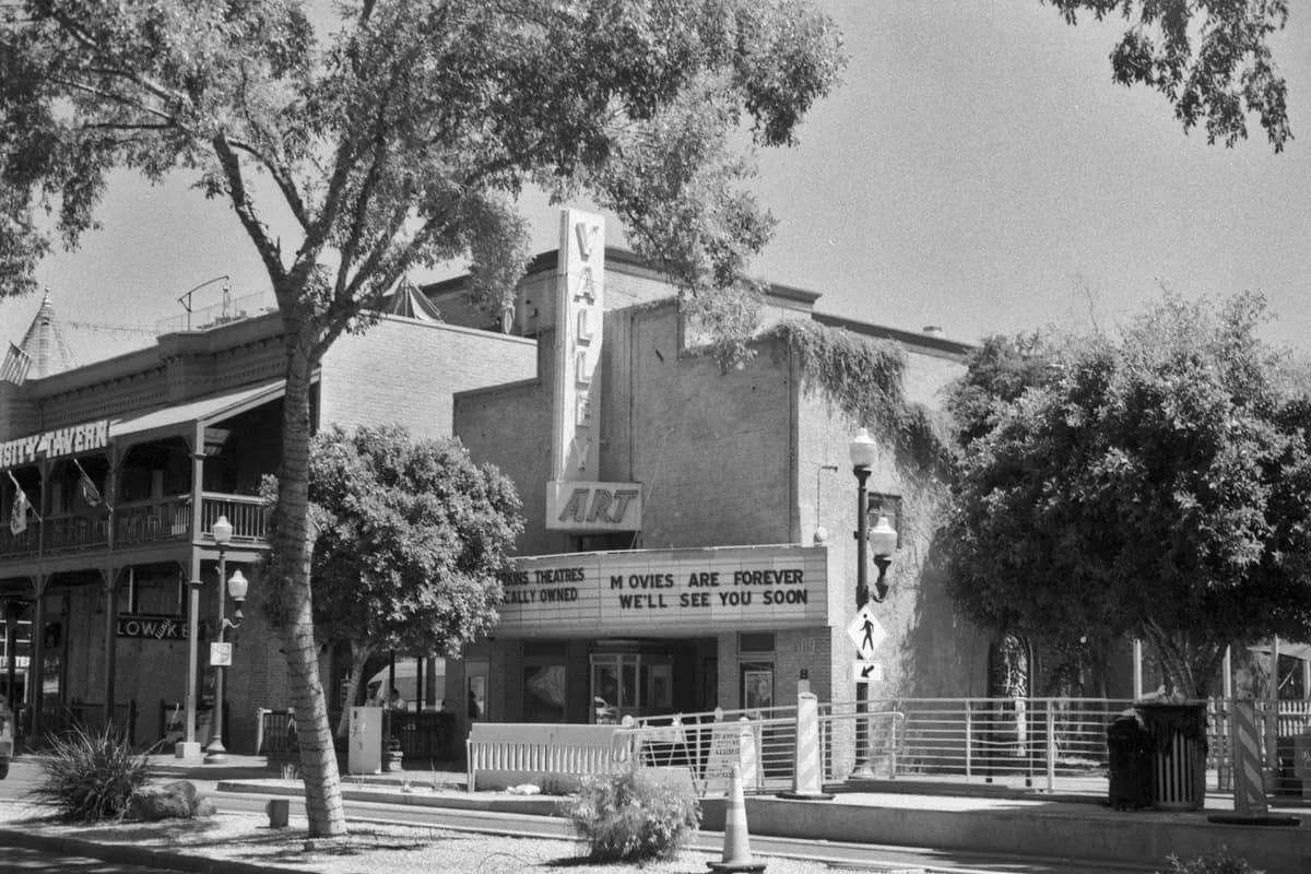 Motstridiga rapporter om Emerald Fennells roll i Basic Instinct-återstart