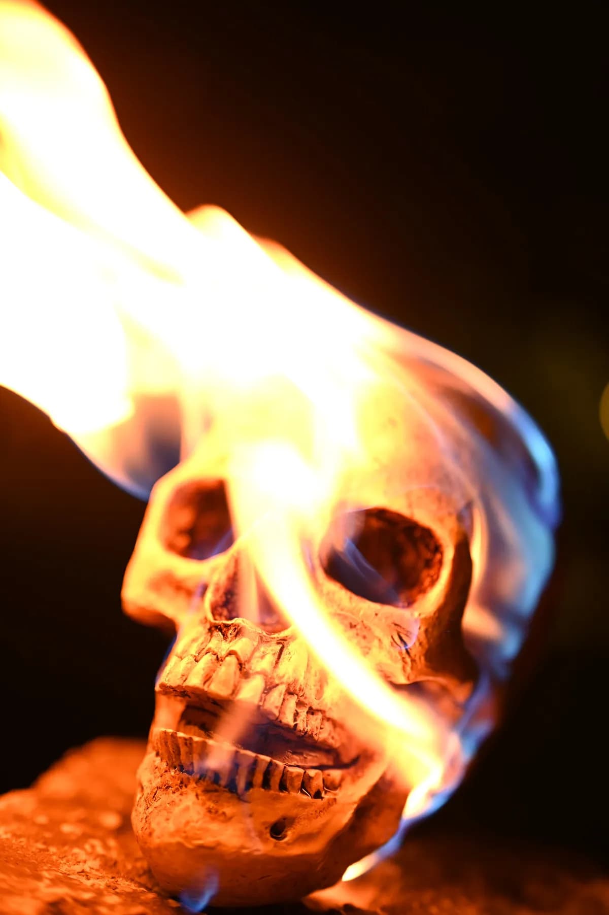 Mänskligt skalle hittad i träd i Enfield medan polisen utreder fall i Coventry