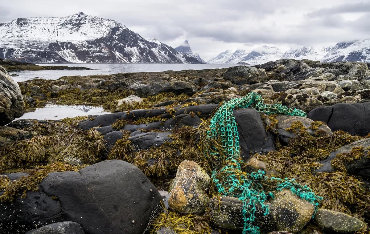 Trawler raised, deceased fisherman recovered in Norway
