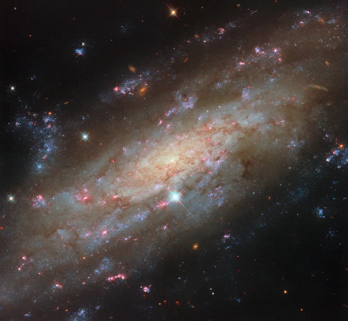 Hubble avbildar spiralgalaxen NGC 3137 med svart hål