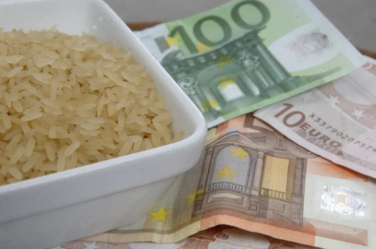 Schweiziska nationalbanken väljer ny sedeldesign från Emphase GmbH