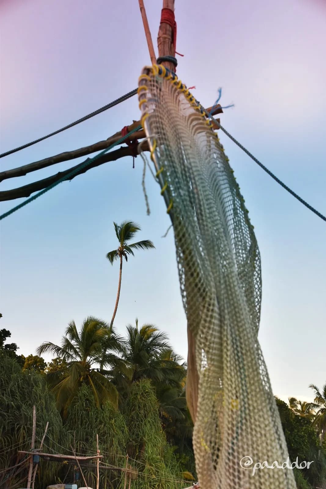 Grayling Fishing Banned in Lake Vättern Amid Population Crisis