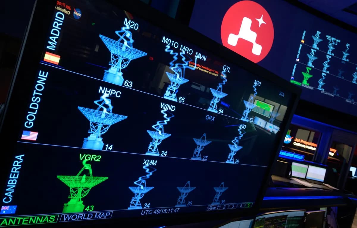 Gyllene äggmysteriet löst – det var en havsanemon