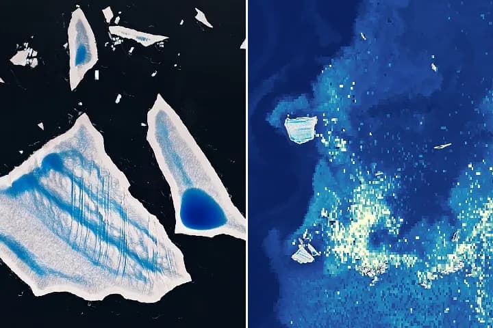 Iceberg breakup fuels phytoplankton bloom in South Atlantic