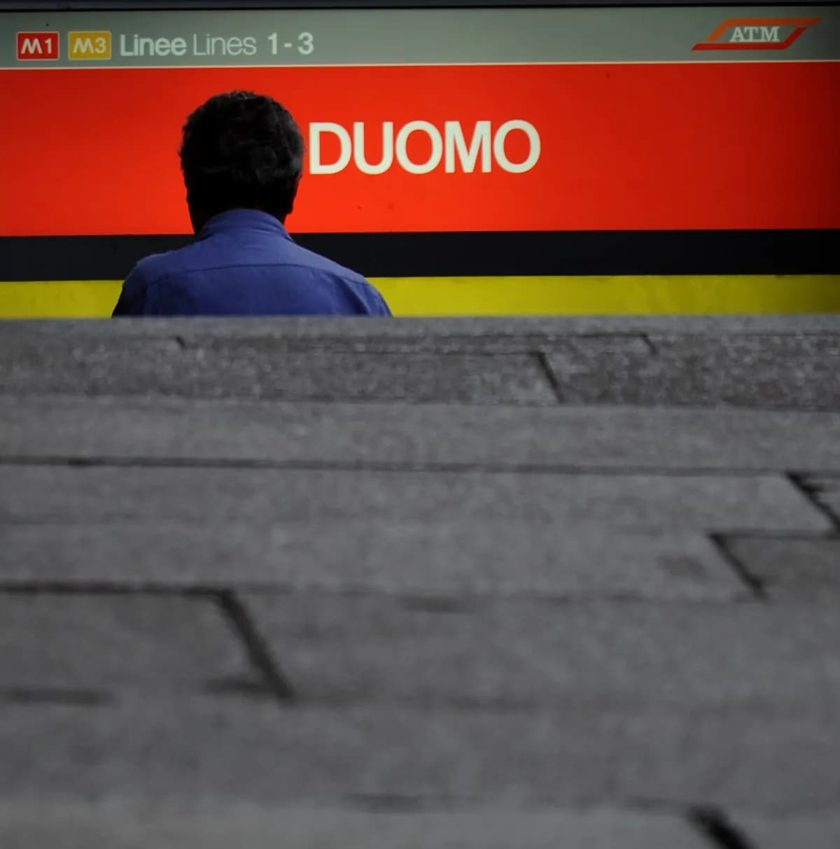 Sparvhök fångad i Stockholms tunnelbana efter jakt på duva