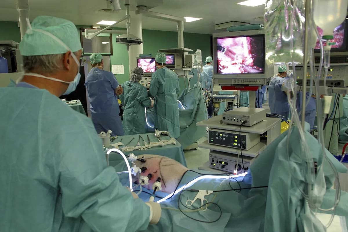 Trump nominerar Dr Nicole Saphier som chefsläkare