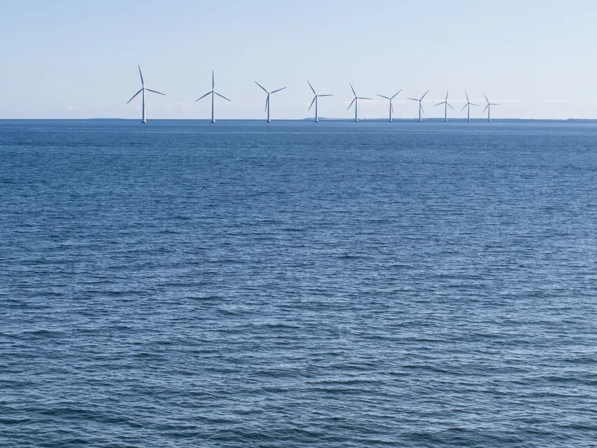 Kustvindar väntas hålla i sig över helgen