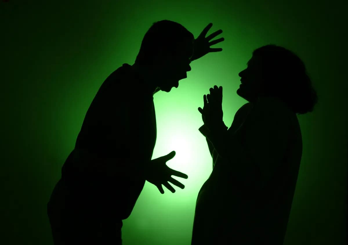 USA-polarisering övergår i våld, varnar professor