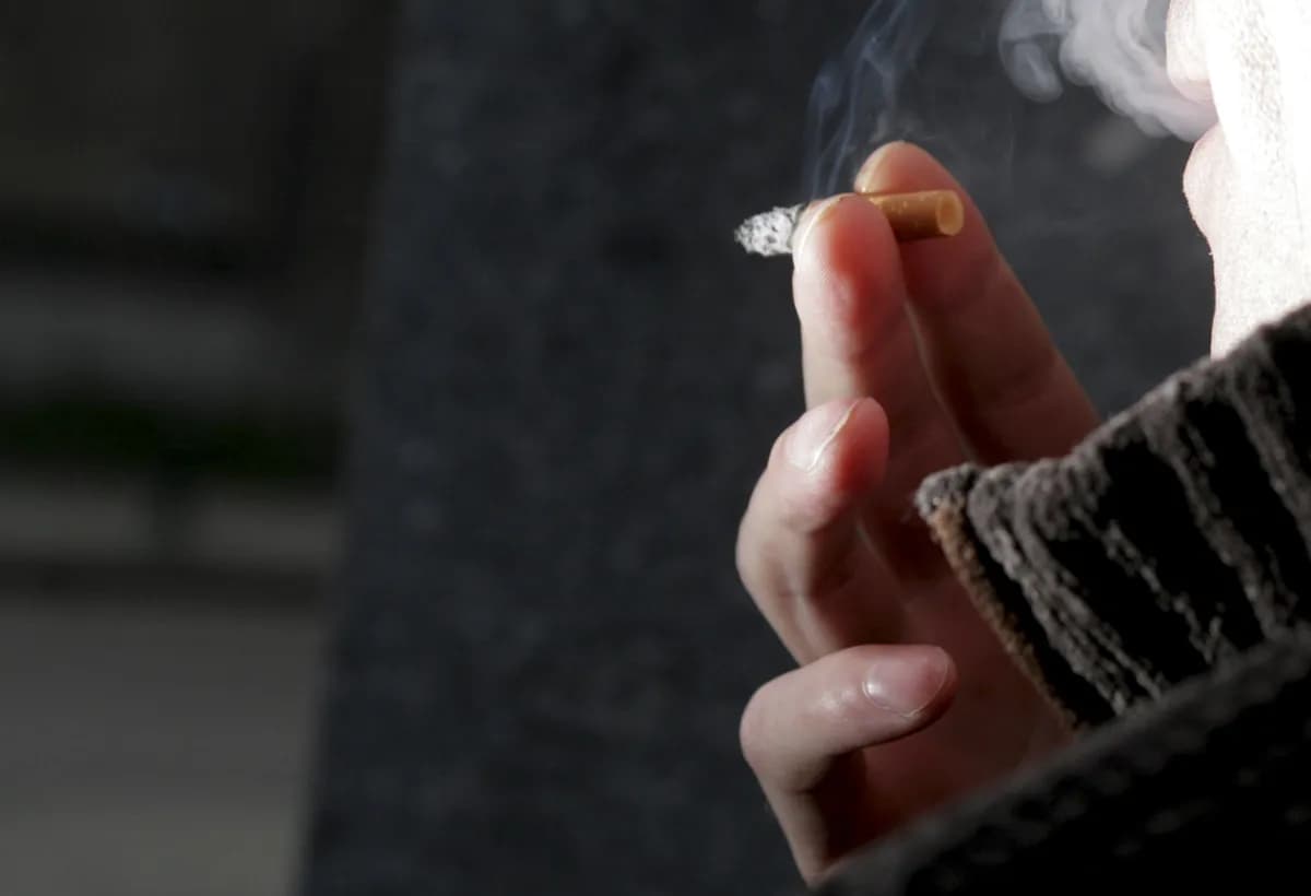 Sweden pushes snus in EU despite evidence gaps