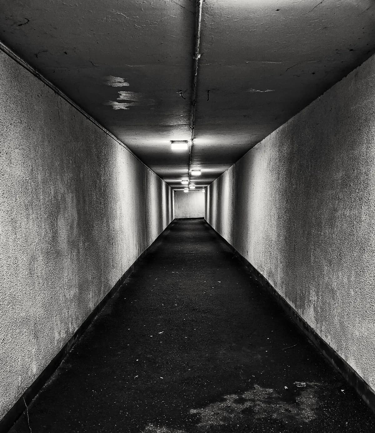 Godkända fartyg möjliggör att Fehmarn Bält-tunnelns nedsänkning startar på våren