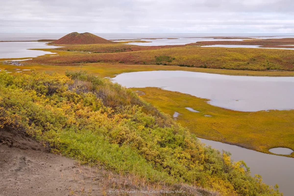 Earth Hour: Globala landmärken släckte ljusen i symbolisk klimatgest