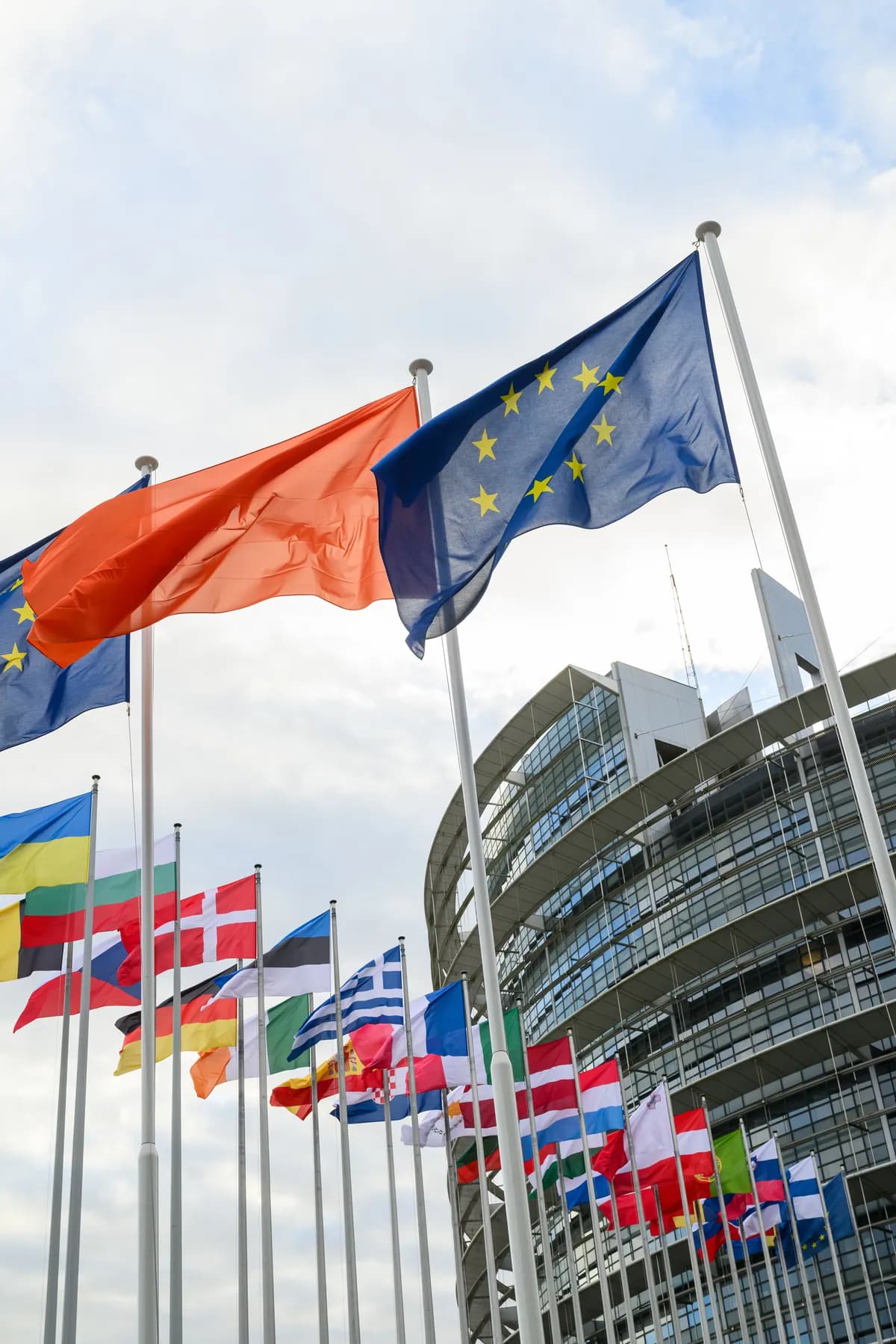 Globalt motstånd mot kvinnors rättigheter intensifieras