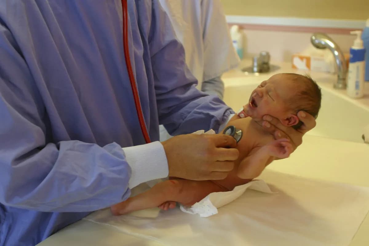 Charity Dingles surrogathemlighet avslöjad av Dr Todd