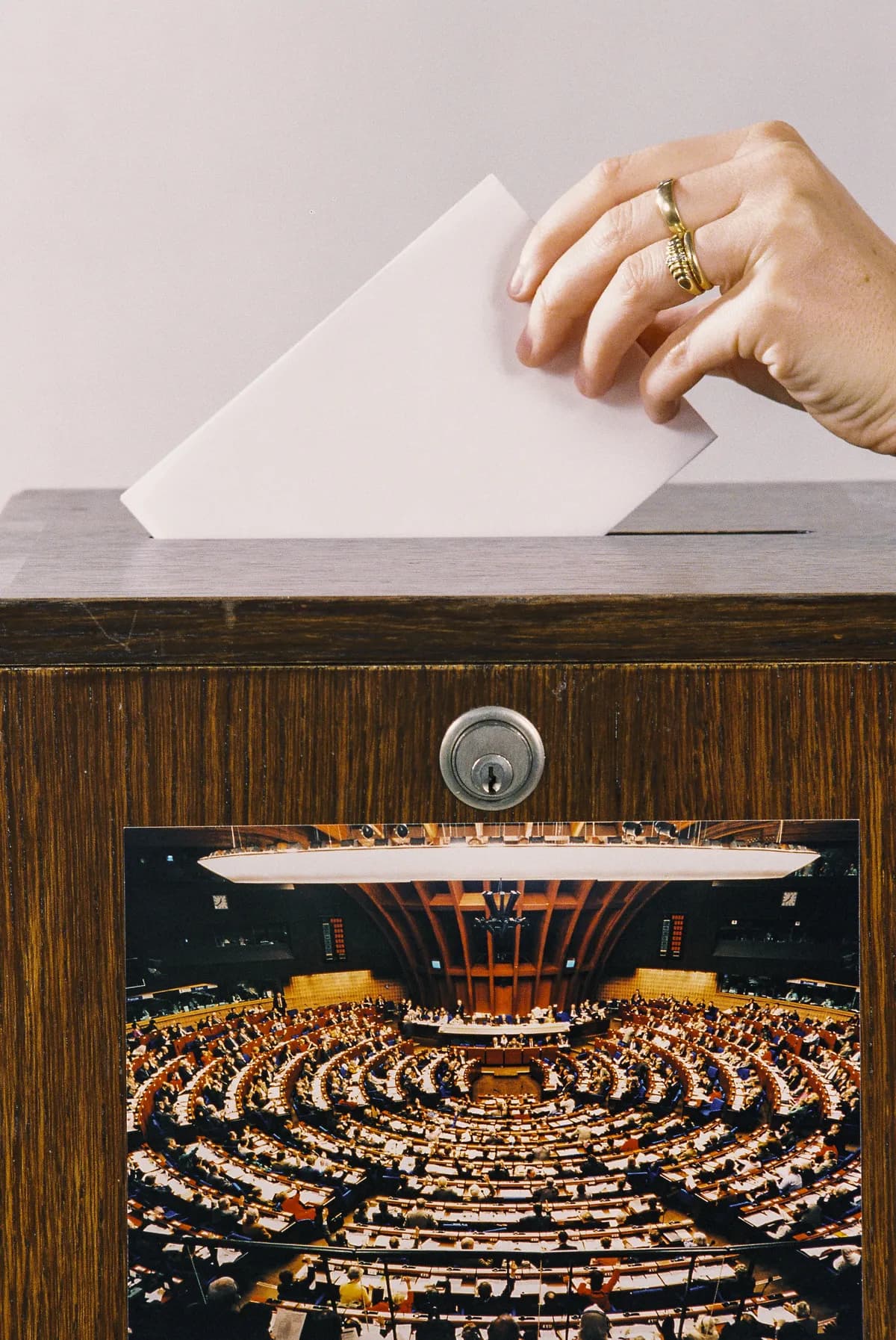 Konservativa föreslår förbud mot valmaterial på främmande språk