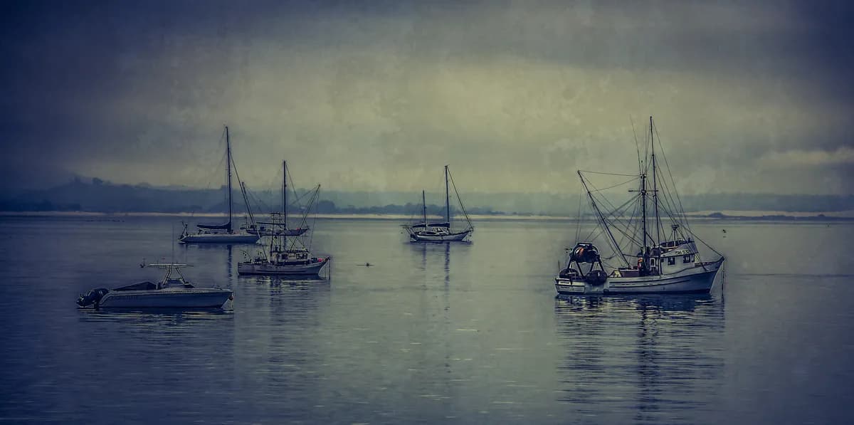 Oljeutsläpp i Mexikanska golfen sprider sig 600 km, förorenar sju reservat