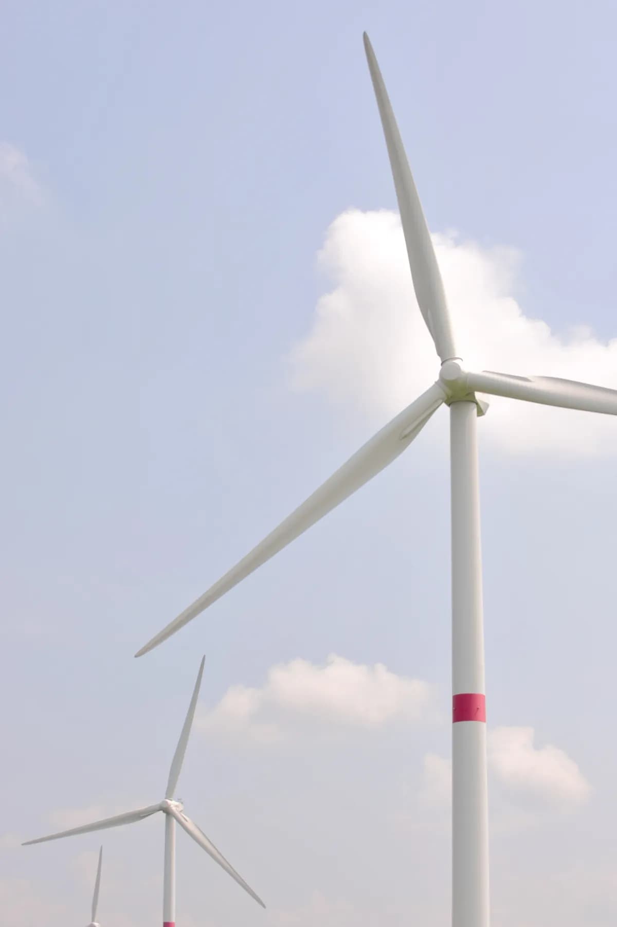 Miljöpartiet anmäler energiminister Ebba Busch till konstitutionsutskottet