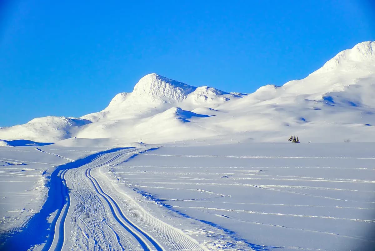 Tjeckisk skidskytt Vinklarkova byter till längdskidåkning