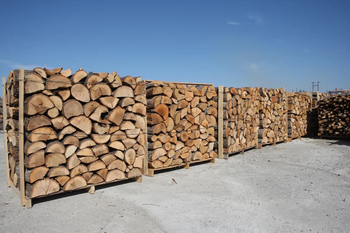 Jenny Isaksson lämnar Farmen efter vedklyvningstävling