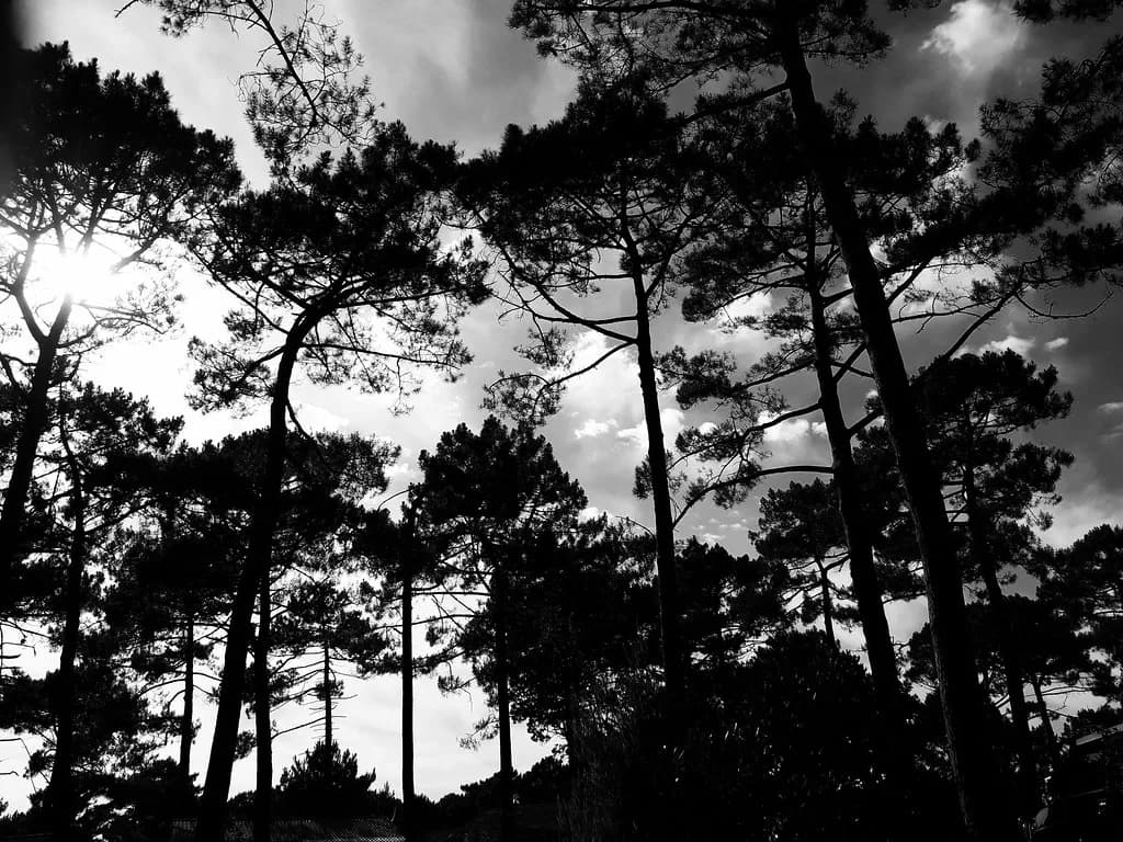 Storbritanniens tidigaste vår signalerar klimatförändringar mitt i hot mot biologisk mångfald