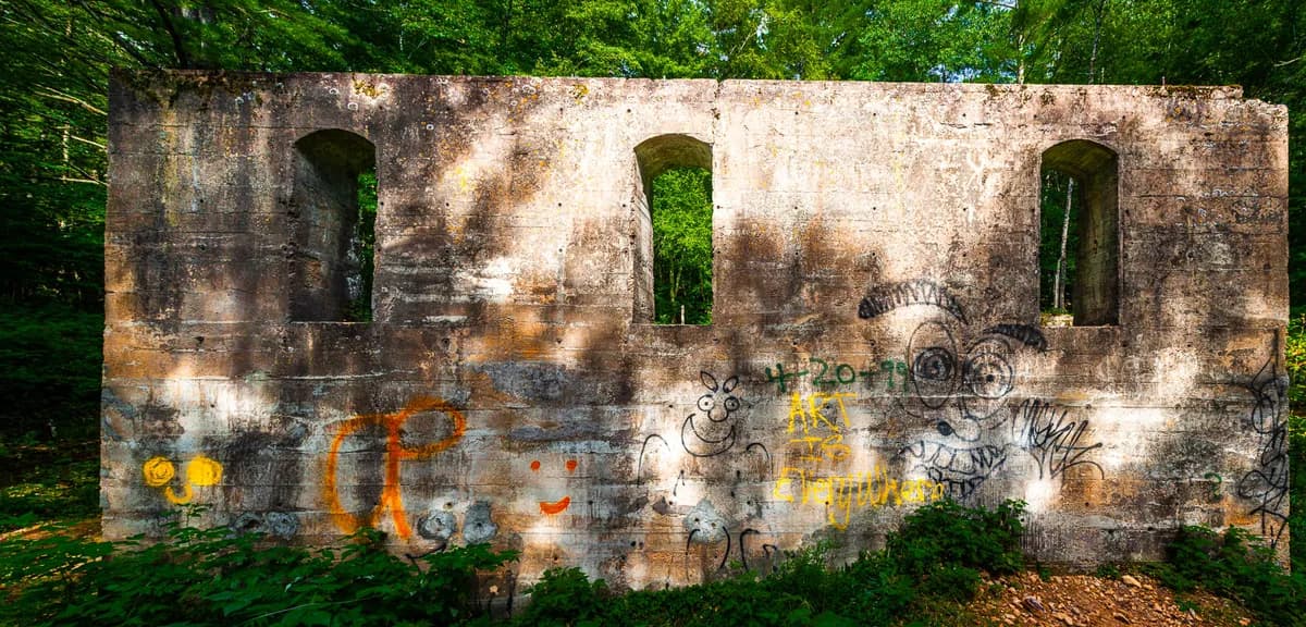 Konstnär fyller Karlskrona villas väggar med målningar som terapi