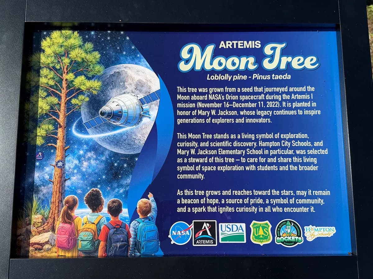 Artemis Moon Tree invig vid Hampton-skola efter månomlopp