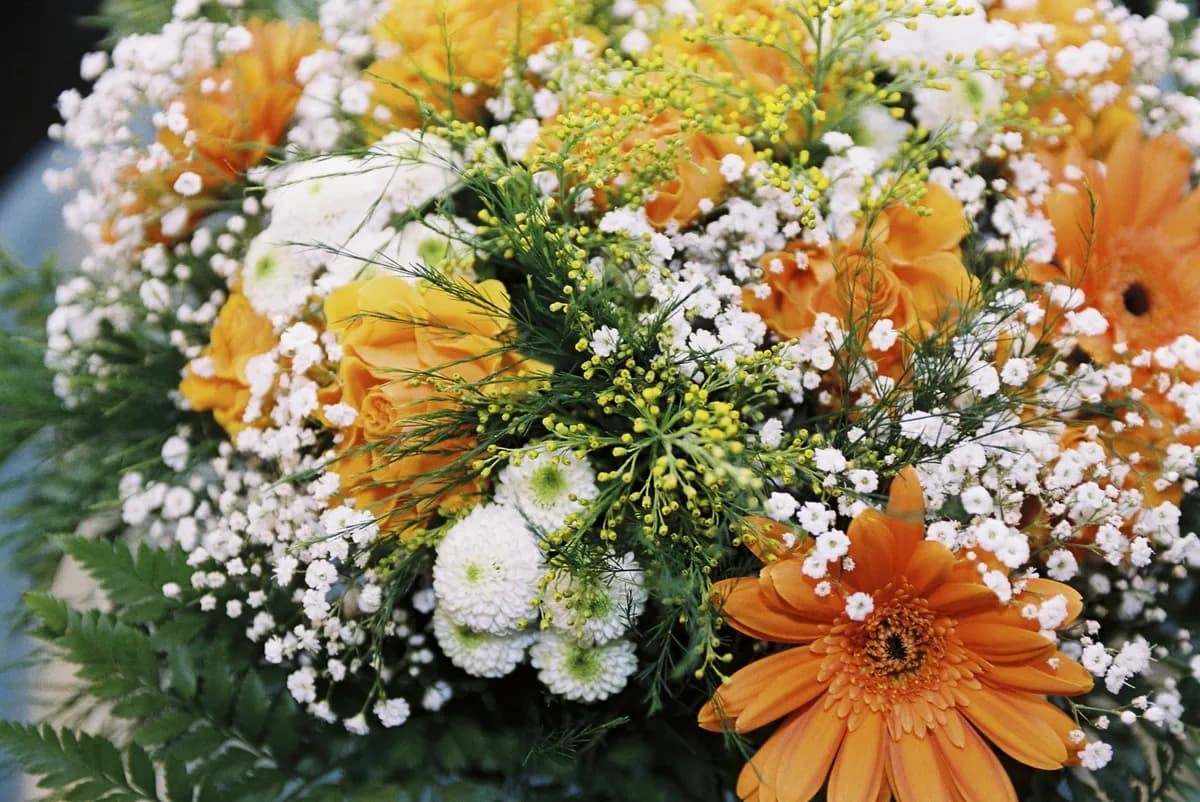 Kate Cassidy utsatt för grymt blomsterbedrägeri med hänvisning till avlidne