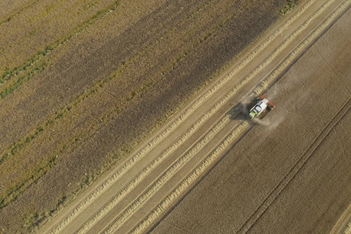 Report Challenges Sweden's Food Security Views, Shows Production Surplus