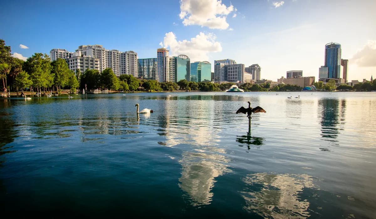 Great Cormorant Numbers Surge in Norrköping, Prompting Hunting Permit