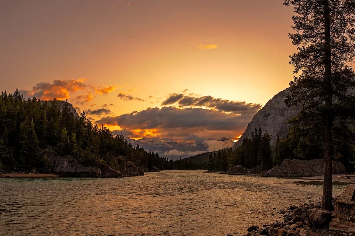 Body Believed to Be Missing Birmingham City Fan Found in River Derwent