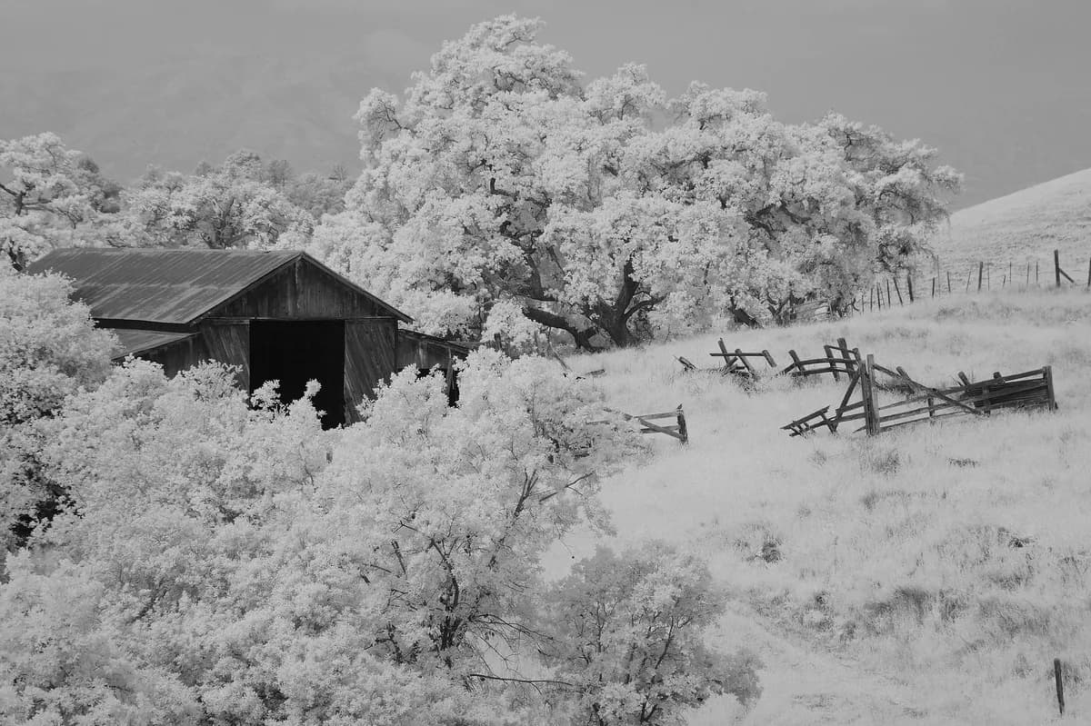 Lada brinner ner i Örsundsbro