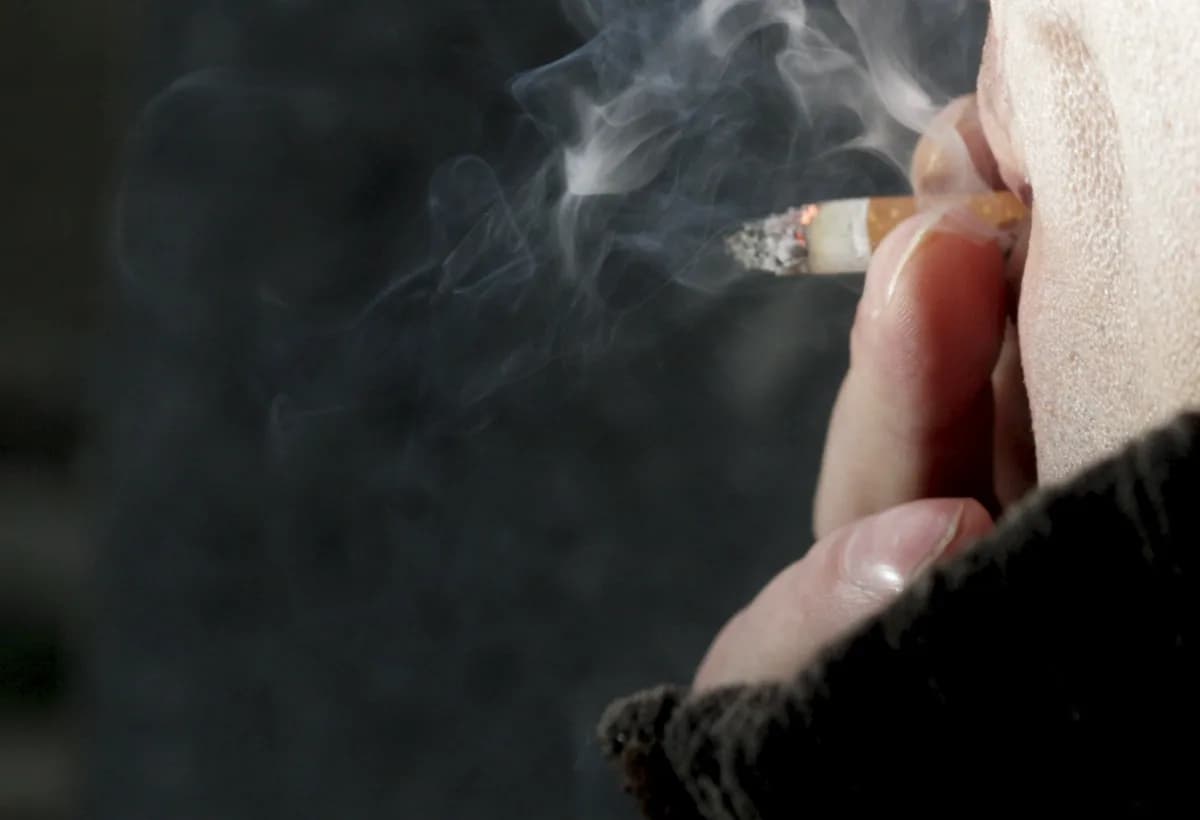 Keighley and Devon shops shut down for elaborate illegal tobacco and vape sales