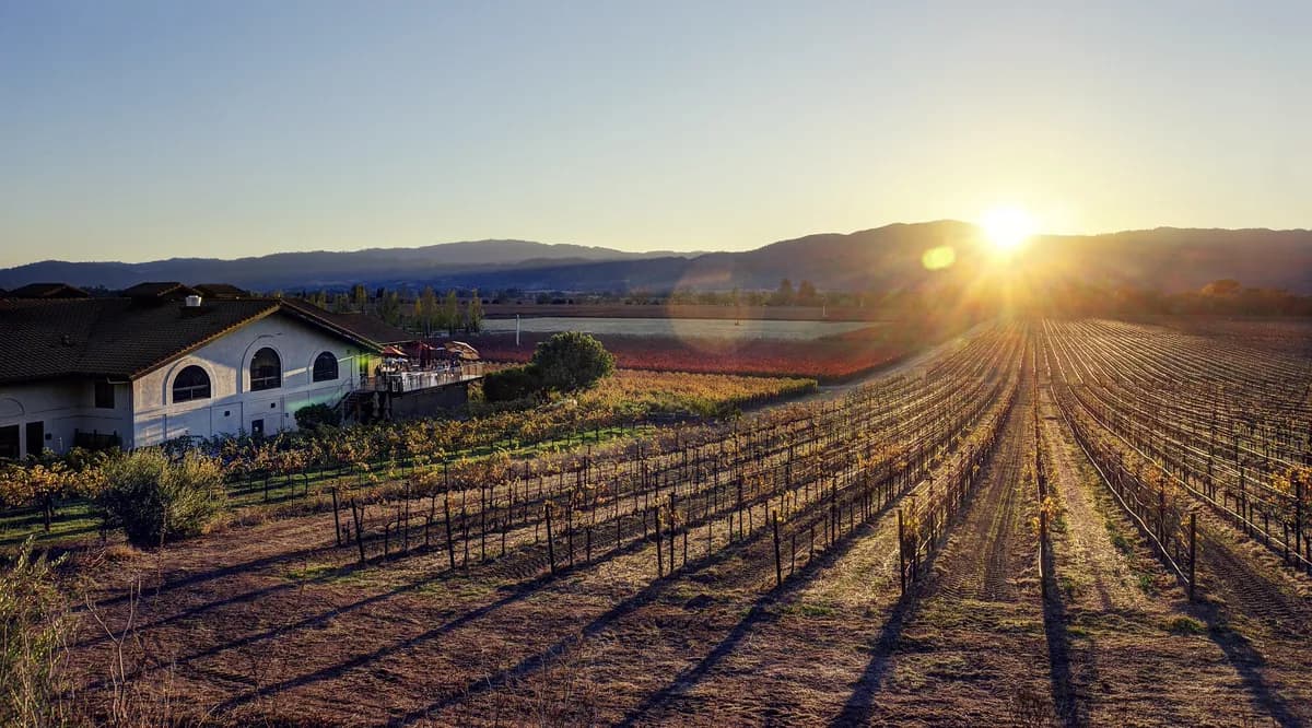Vinmässa i Luleå lockade färre besökare, erbjöd flaskor från 1982 till 2025