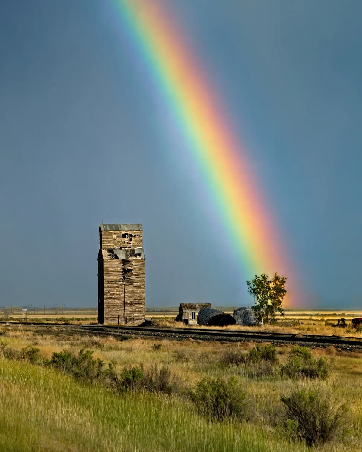 Kulturella aktiviteter halverats sedan pandemin, landsbygden drabbas hårdast